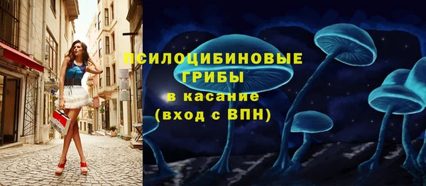 герыч Алексин