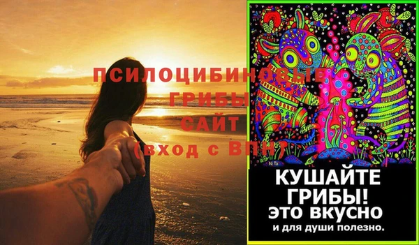 дурь Алзамай