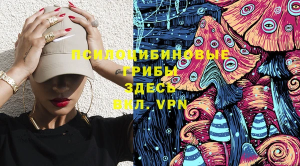 2c-b Алексеевка